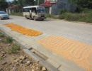 Traditional drying